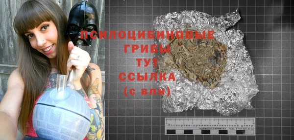 соль курить ск Медвежьегорск