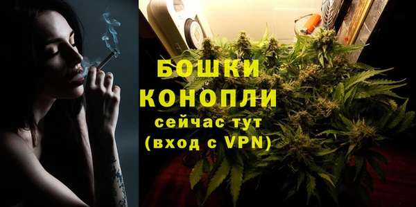 крисы Туринск