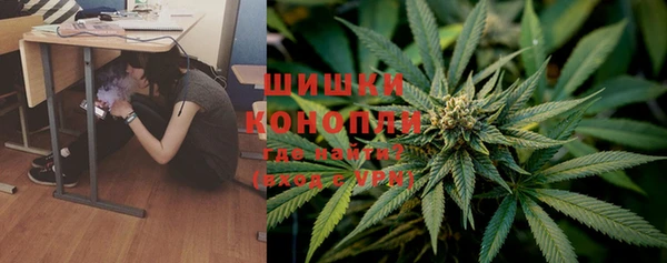 дурь Магас