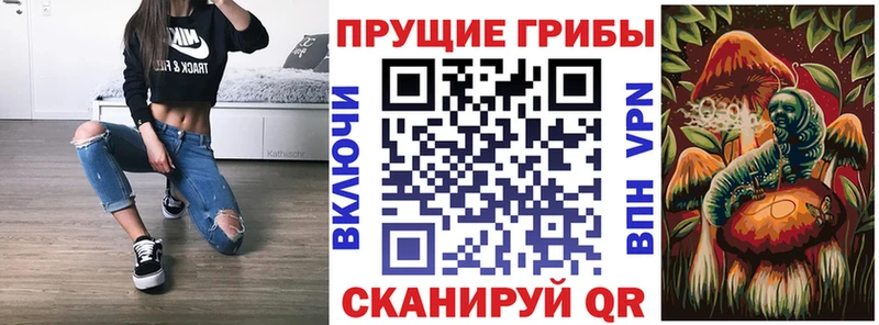 закладка  Усть-Илимск  Псилоцибиновые грибы Psilocybine cubensis 