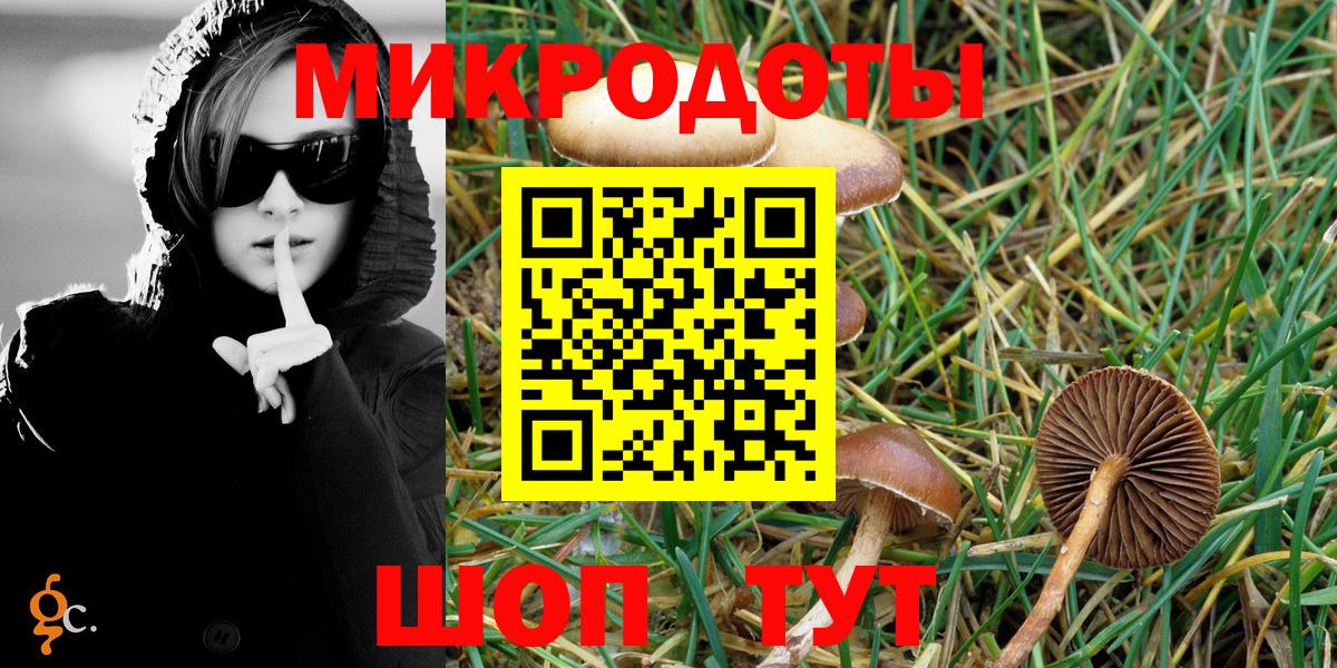 Галлюциногенные грибы Psilocybe  Усть-Илимск 
