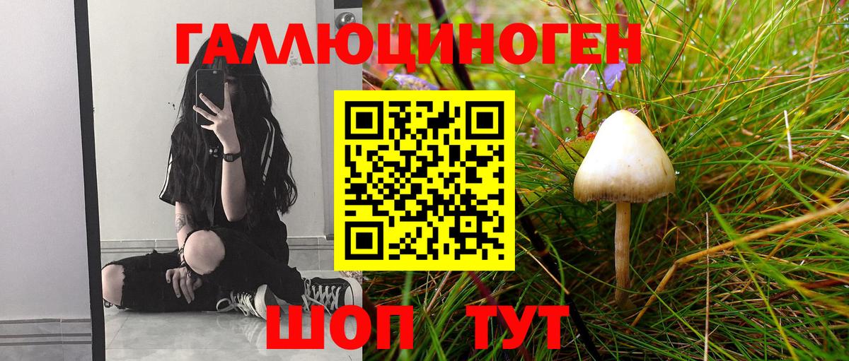Псилоцибиновые грибы GOLDEN TEACHER  Галлюциногенные грибы Cubensis  Вход с VPN  Усть-Илимск 