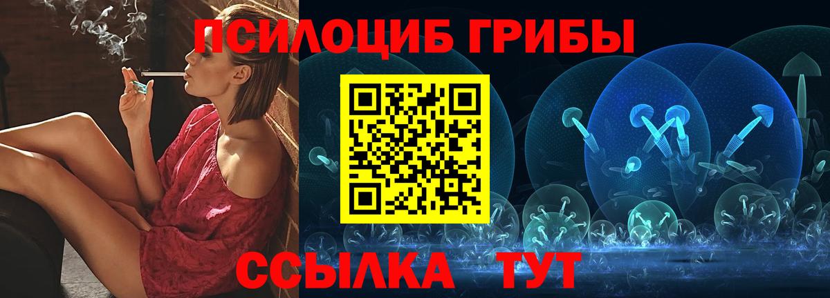 Псилоцибиновые грибы Psilocybine cubensis Усть-Илимск