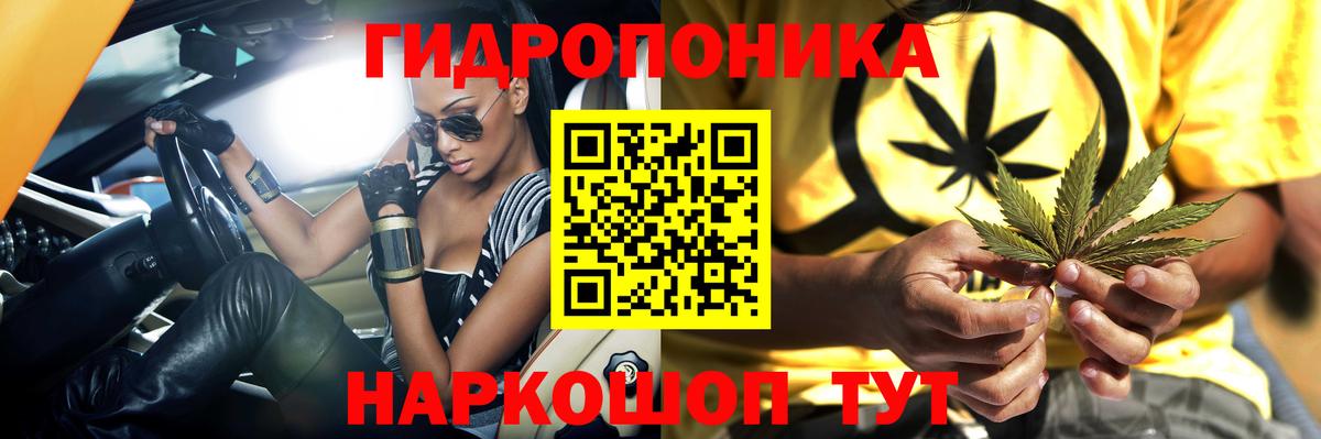 Бошки Шишки тримм  Бошки Шишки планчик  Каннабис тримм  Каннабис план  Усть-Илимск  Вход с VPN 